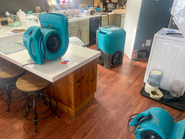 Best Commercial water damage restoration  in Orland, CA