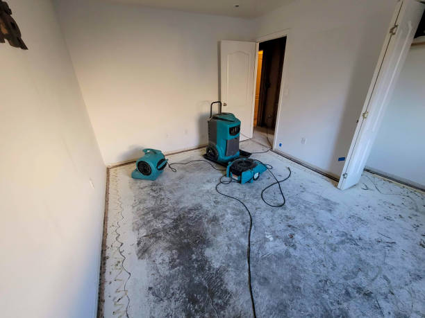 Best Carpet water damage restoration  in Orland, CA
