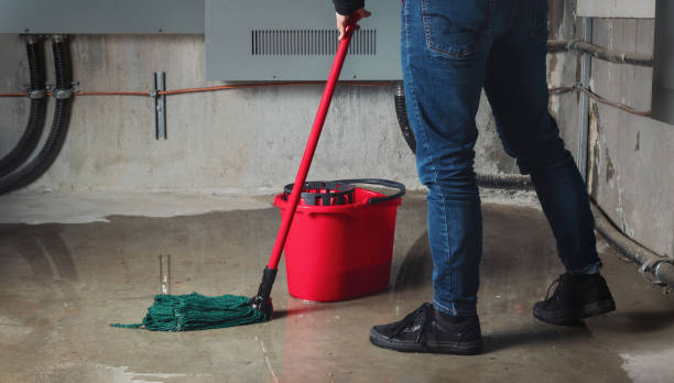 Best 24-hour water damage restoration  in Orland, CA