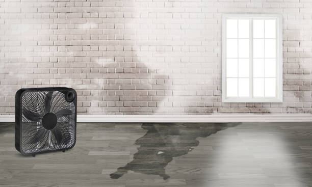 Best Flood damage cleanup  in Orland, CA