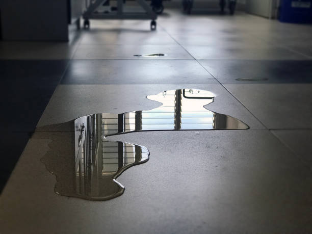 Best Water damage restoration near me  in Orland, CA