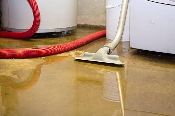  Orland, CA Water damage restoration Pros
