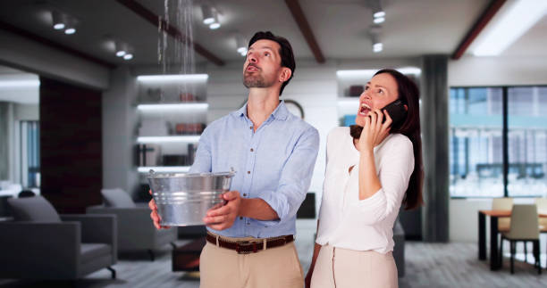 Best Professional water damage repair  in Orland, CA